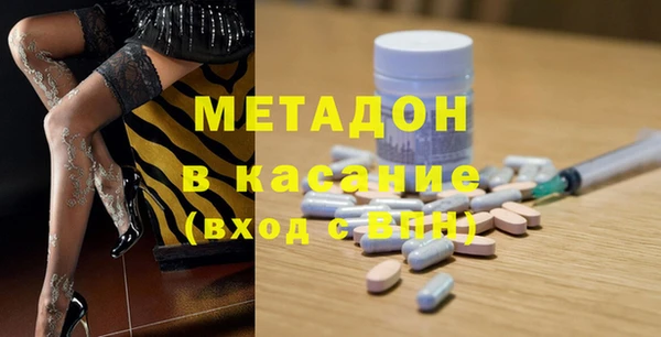 прущие грибы Богданович