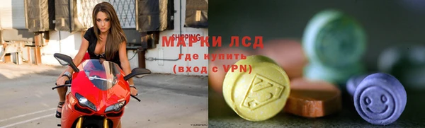 ECSTASY Богородицк