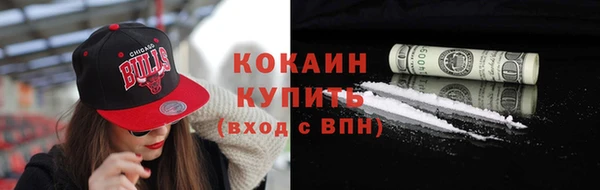 прущие грибы Богданович