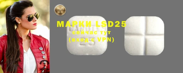 ECSTASY Богородицк
