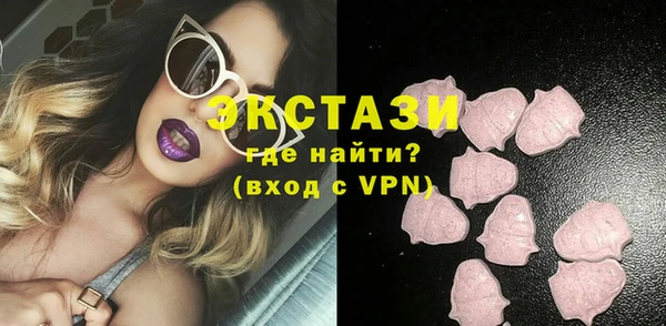 ECSTASY Богородицк