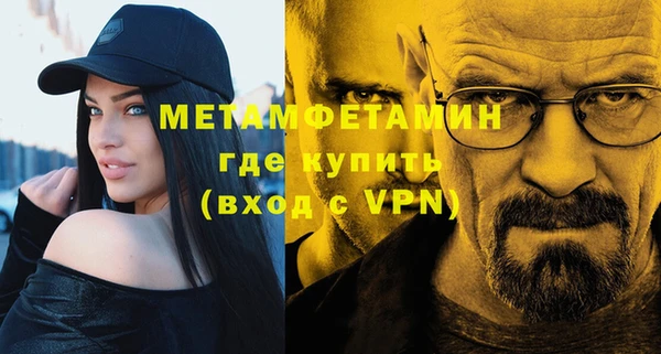 прущие грибы Богданович