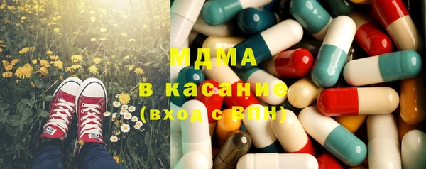 прущие грибы Богданович
