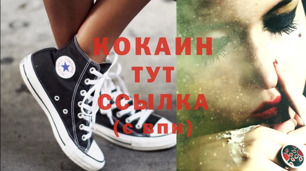 прущие грибы Богданович