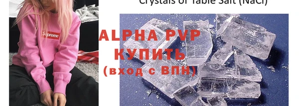 ECSTASY Богородицк