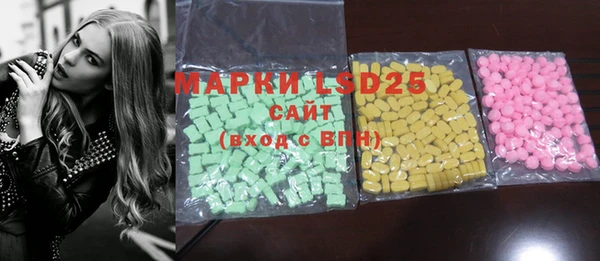 ECSTASY Богородицк