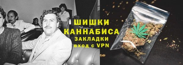 ECSTASY Богородицк