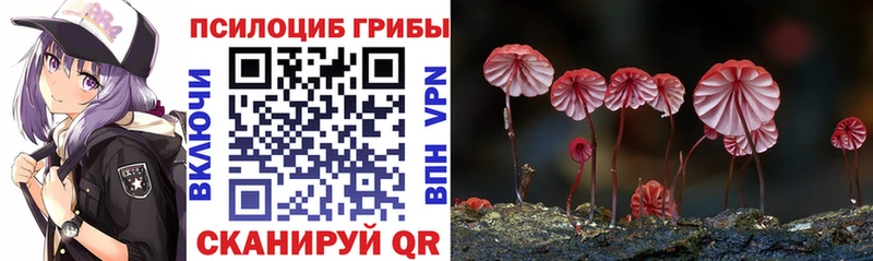 darknet наркотические препараты  купить   Луза  Галлюциногенные грибы GOLDEN TEACHER 